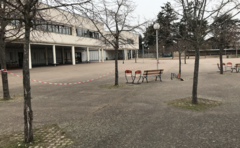 Galerie photo La cour